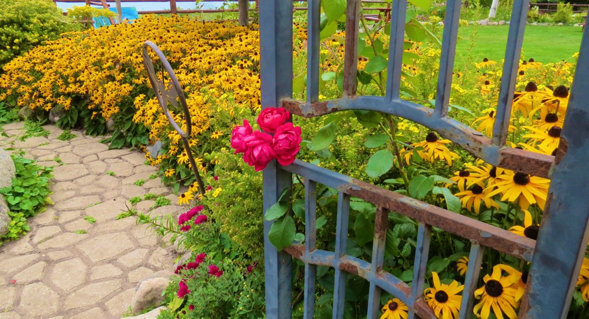 MitchandMarcy's tweet photo. @DailyPicTheme A #walkway through a neighborhood garden we love to see, The perfect photo stop in every season exuding that certain esprit.
🪴📸#mitchandmarcyphotos
#PureMichigan @StormHour #ThePhotoHour @LensAreLive #ThePhotoChallenge @edayphotos #mynorth #LegsInn
Please tap https://t.co/DktoHkWFiQ