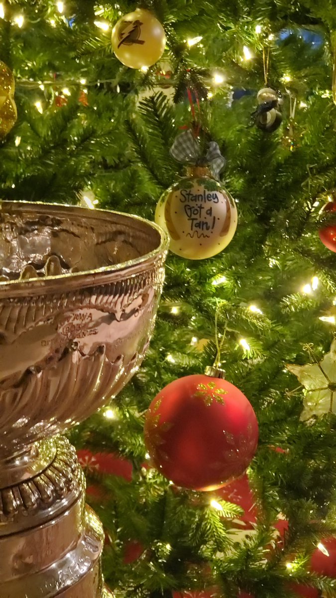 keeperofthecup's tweet photo. What a perfect Christmas decoration,  don't you think? #stanleycup #stanleyneedsatan 
@nhl @TBLightning @CityofTampa 
@HockeyHallFame https://t.co/CcTVQZZovC