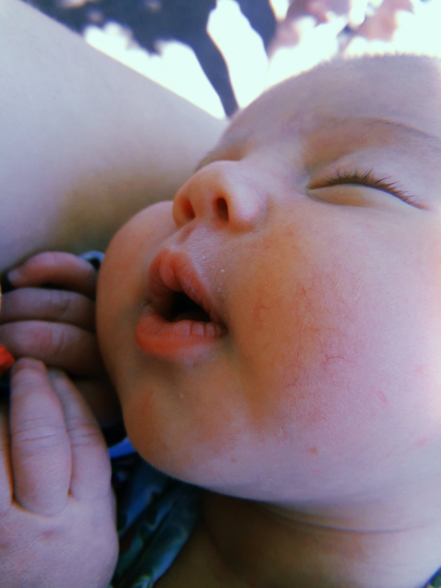 _sanchezsofia's tweet image. No se ni como explicarlo, es un amor tan lindo y único. ¡Que hermoso es ser tía 💛✨!