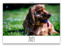 Merry Christmas to all our Puppypix friends - mailchi.mp/50ec6ff05f76/d…