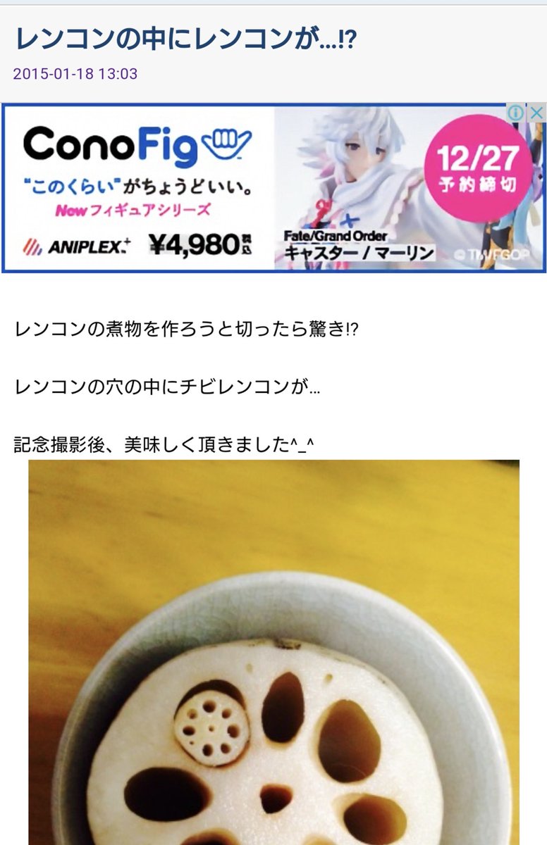 集合体注意 レンコンの中に小さなレンコンが入っているのが見つかる まさに連コンですね フラクタル構造みたい Togetter