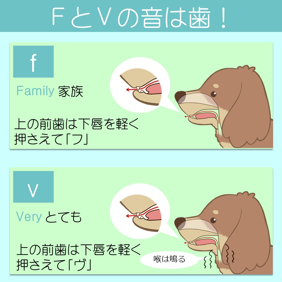犬で学ぶ発音記号 ট ইট র অন সন ধ ন