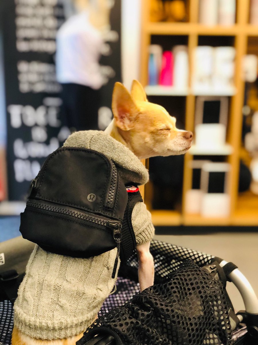 lulu lemon dog backpack