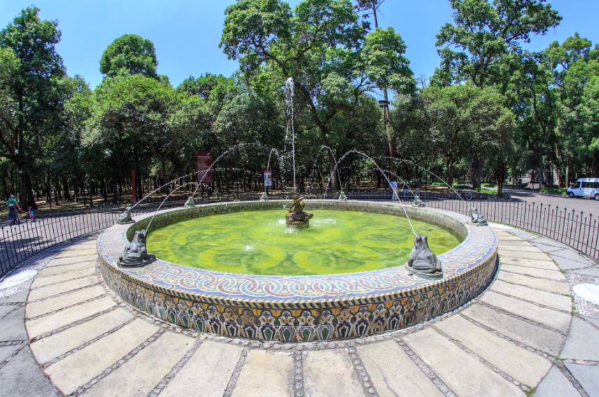 Bosque Chapultepec в Twitter La Fuente De Ranas Se Construyó En España En 1921 Originalmente Estaba En La Entrada Principal Del Bosque Pero Más Tarde Fue Reubicada En La Parte Trasera Del
