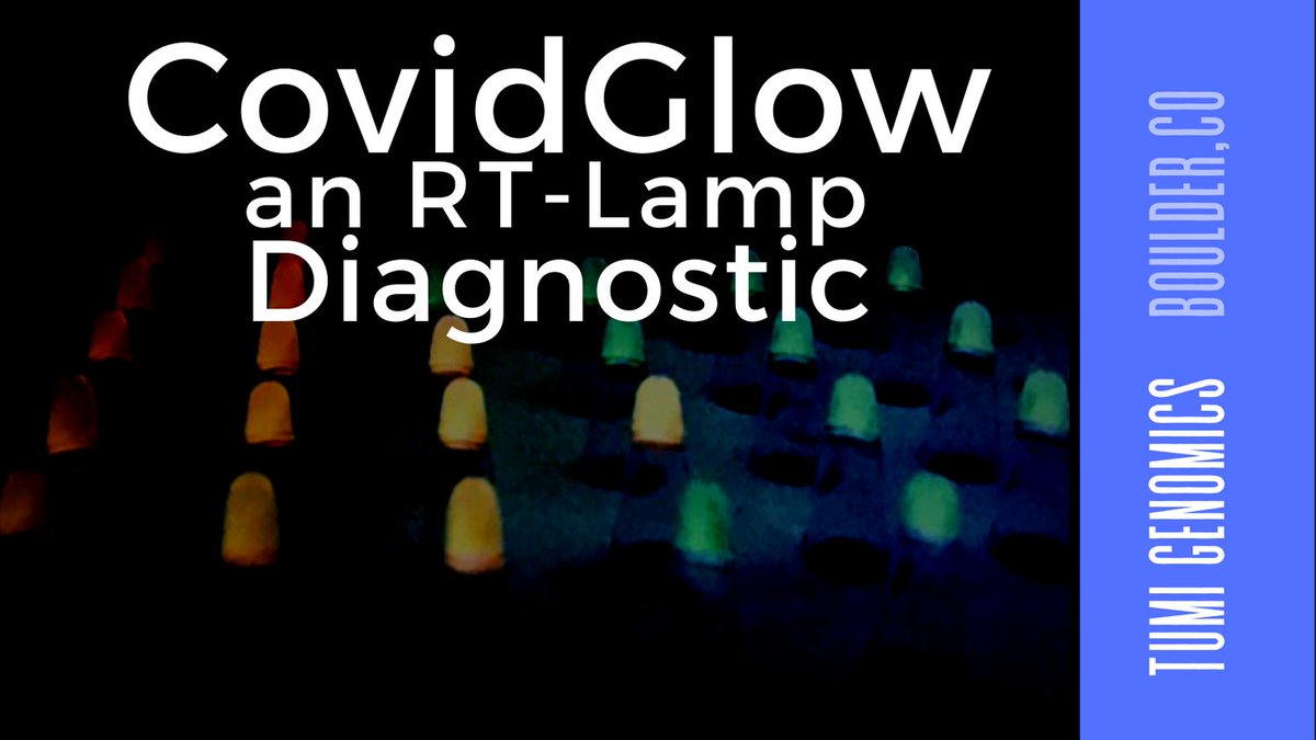 Hard work from the team at Tumi Genomics has produced a Covid-19 diagnostic that is as sensitive and accurate as many “gold-standard” COVID PCR test, but simple enough to be performed at point care settings. CovidGlow represents our commitment to cutting edge diagnostics for all