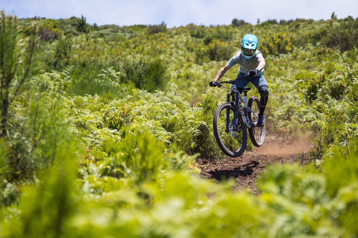 andre26mtb's tweet photo. Back to summer rides with @madproductions crew ☀️✊
.
@canicoriders @bikezonefunchal @scott_portugal_oficial @syncrosbike @bloceyewear @stagescycling @absoluteblack @barra4_engenharia @alcado_direito_lda #DOMODELTA @joecycles_workshop @ridefoxbike @maxxistires @elementar_cycles https://t.co/bvNCHgWqft