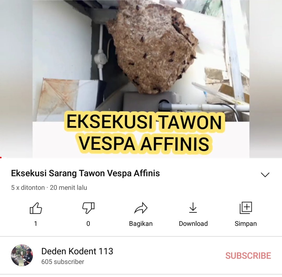 Tawonnya Aktif bgt ya Bund...
#tawon
#tawonaffinis
#eksekusi
#damkar
#pemadamkebakaran
#IndonesianHumanRightsSOS
#indonesiafirefighter

youtu.be/A2vlCBXPF0c