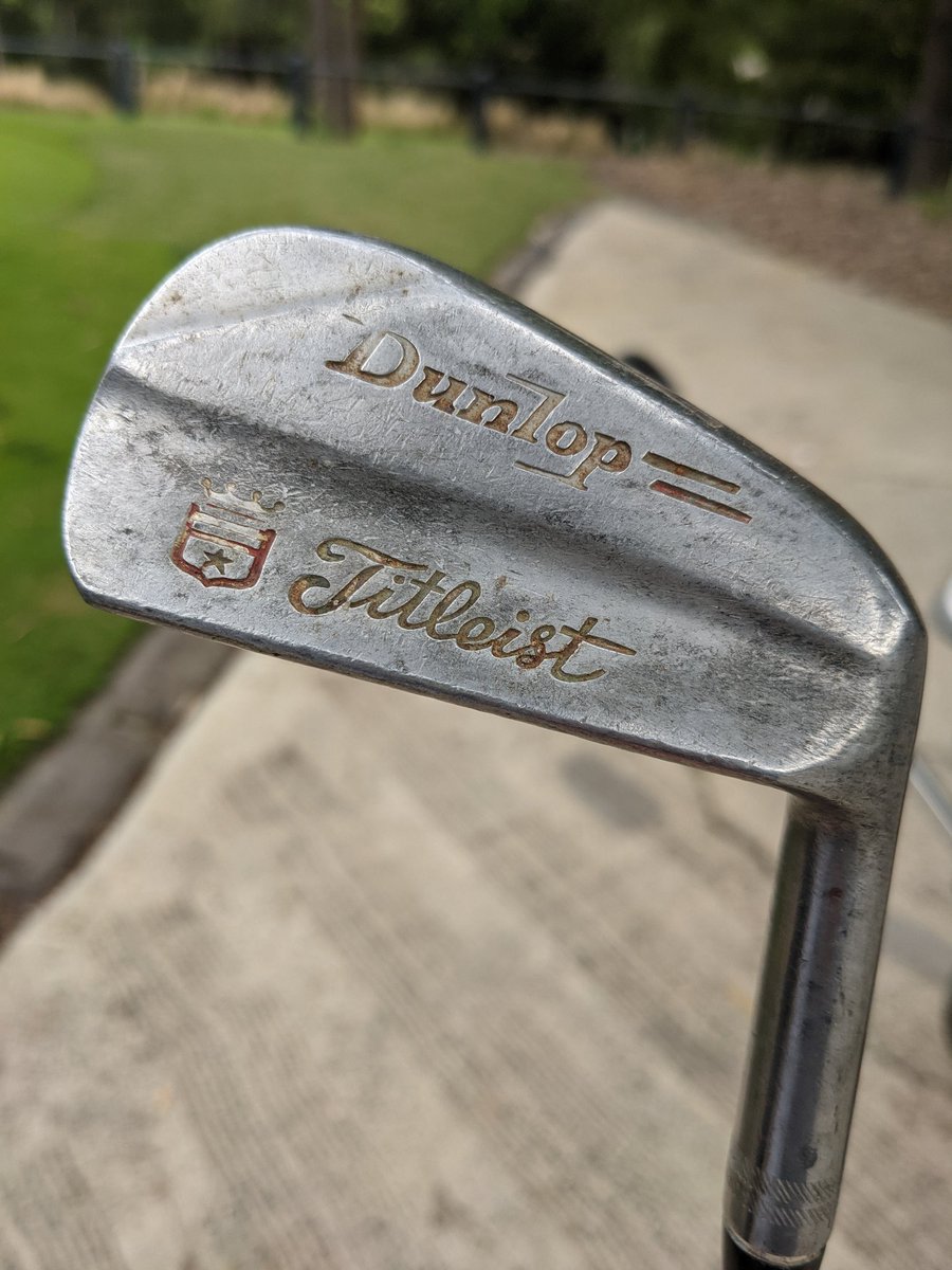 Sandy Jamieson tweet media