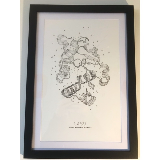 I’ve been working on Crispr screens in human neurons for the last wee bit and so my husband made me this super cool Cas9 artwork. Best gift ever!