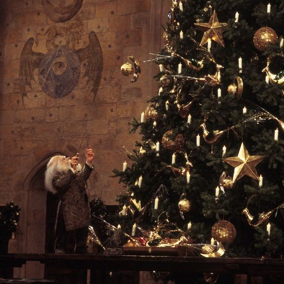 thiegonovais's tweet photo. Onde eu queria passar o Natal é em Hogwarts mesmo. https://t.co/TxQeiuWsb1