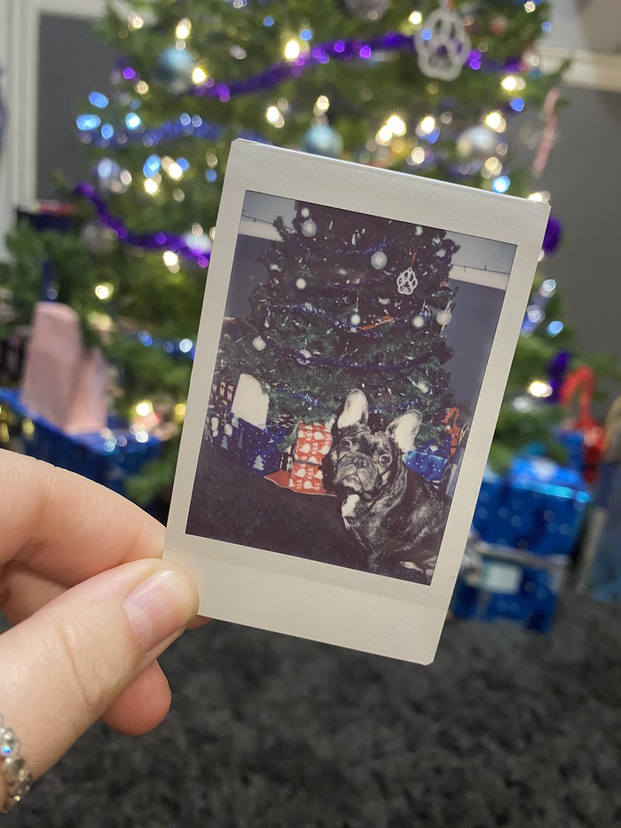 Ollie has now received Christmas presents from my family, coworkers, and my friends.. safe to say he’s so loved and not just from us 😂❤️🥺 (but how can you not.. I mean look at that face)