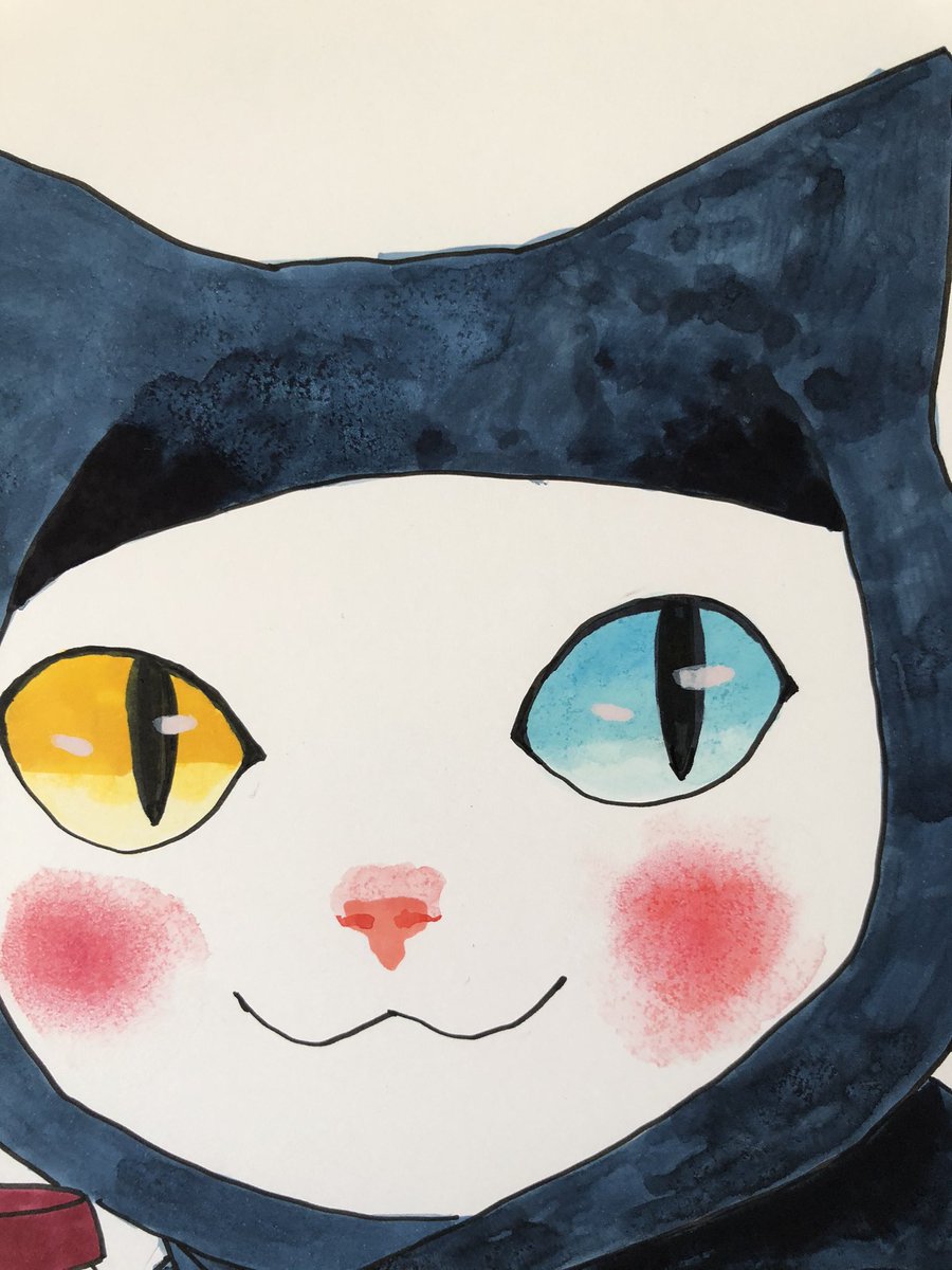 solo no humans cat colored sclera yellow eyes blush blue eyes  illustration images