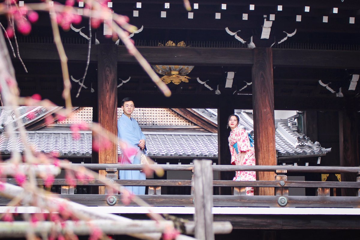 sakura_comzh's tweet photo. 年末年始のお休みまで後5日になりました🌸
レンタルはお休みにしていますが、ご購入はしていただけます☺️
お気軽にお越しください💕
年末年始のお休み
12月26日〜1月5日(6日から通常営業ですが、レンタルはお休みにしています😭)
※お休み期間中はお問い合わせにでれません😭ご了承下さい。 https://t.co/w1T038q7AX
