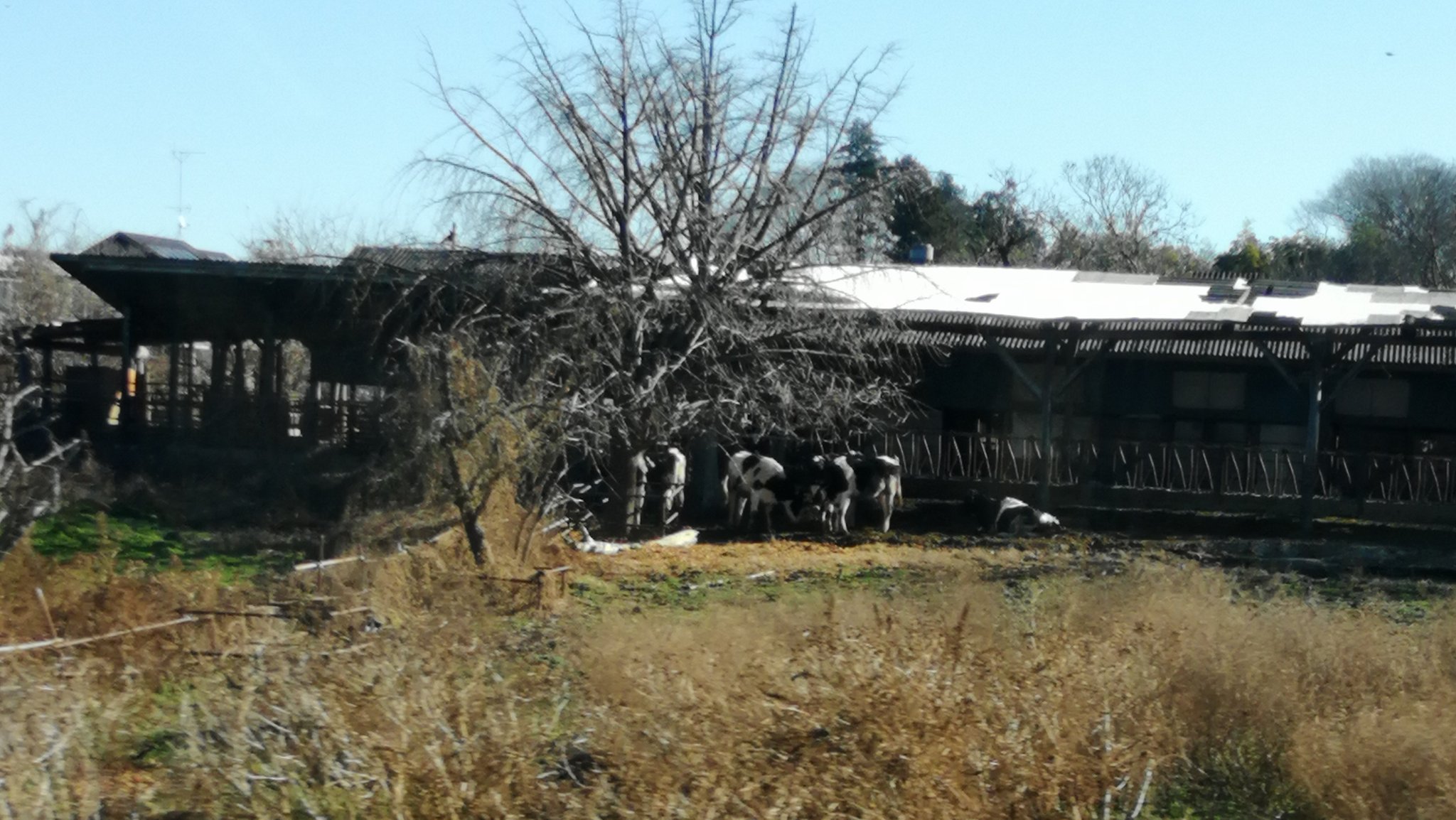 Nog 牛小屋 T Co Vawjpmoqau Twitter