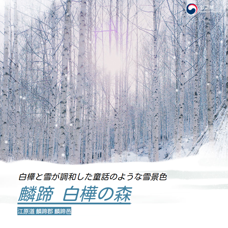 주오사카총영사관 韓国の雪景色 冬を彩る名画 手足が冷える寒い冬ですが 冬だからこそ眺められる美しい景色があります 雪で彩られた韓国の美しい冬景色をご紹介いたします T Co U1lsjj4k4m 韓国 韓国情報 韓国旅行 韓国語勉強 韓国好き 주오사카총영사관 韓国の雪景色 冬を彩る名画 手足が冷える寒い冬ですが 冬だからこそ眺められる美しい景色があります 雪で彩られた韓国の美しい冬景色をご紹介いたします T Co U1lsjj4k4m 韓国 韓国情報 韓国旅行 韓国語勉強 韓国好き