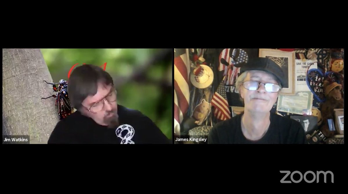 11/3 - Election happens Q goes quiet. Ron Watkins quits. E positions to lead.11/5 - Jim Watkins, Thomas Schoenberger, Janon and James Kingsley target ME on tora3 livestream. They talk about “E” in glowing terms.