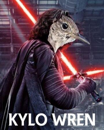 This is my latest tweet. #StarWars #KyloWren #DadJokes