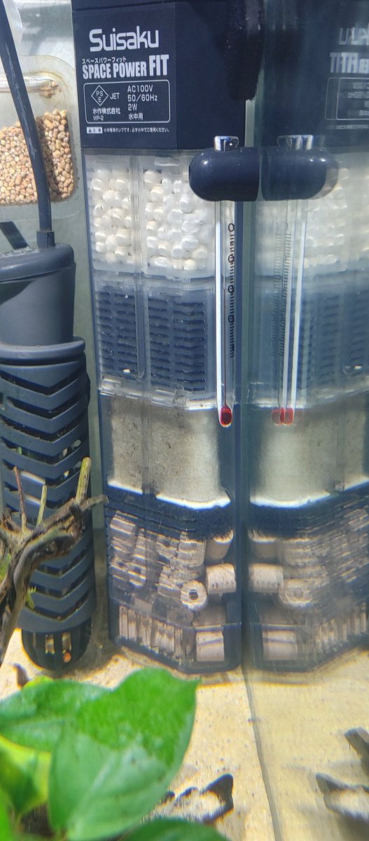 ট ইট র 紅花 水槽のろ過装置を変えてみました リバースグレイン 活性炭 付属の生物濾過 付属の粗めスポンジ リングろ材 という構成です しばらくこれでいきます ちなみにチラ見してるのはドクターバイオです 水草水槽 水中フィルター スペースパワーフィット ট ইট র 紅花 水槽のろ過装置を変えてみました リバースグレイン 活性炭 付属の生物濾過 付属の粗めスポンジ リングろ材 という構成です しばらくこれでいきます ちなみにチラ見してるのはドクターバイオです 水草水槽 水中フィルター スペースパワーフィット