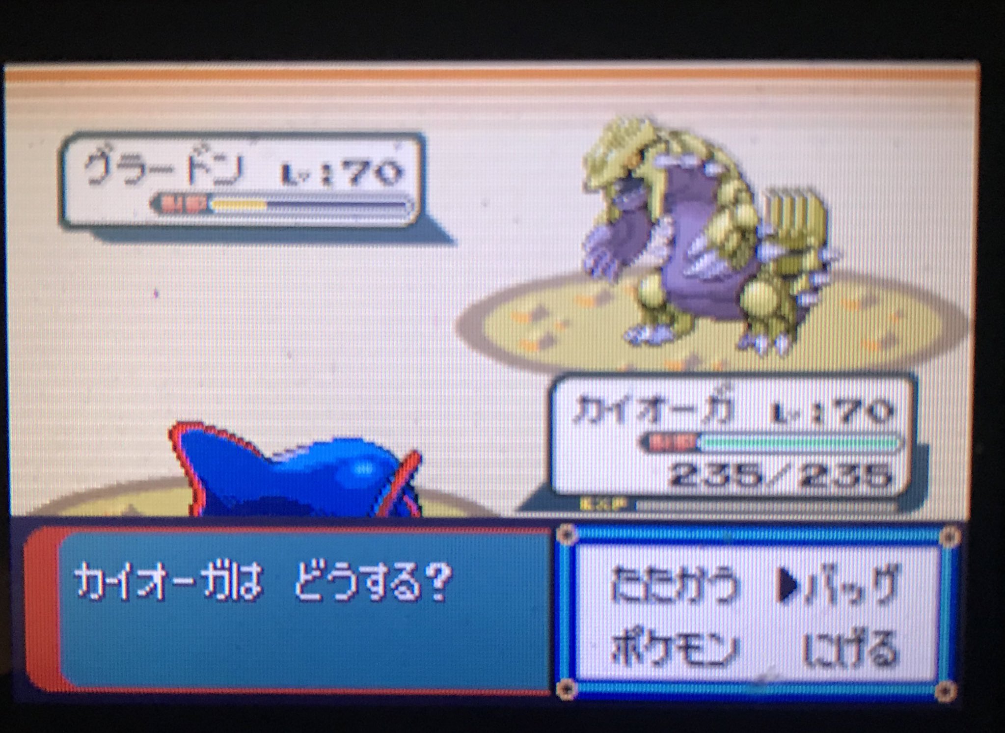 ポケモンエメラルド Twitter Search Twitter