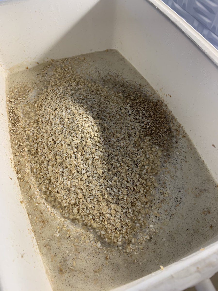 PachaBeer's tweet image. Seguimos cocinando Hazy Strong Pale Ale (BA-BSG-2020-GI-E). D.O.: 1057, SRM: 6. Esta vez con lúpulos Centennial, Columbus y Cluster 🇺🇸!!! A fermentar...