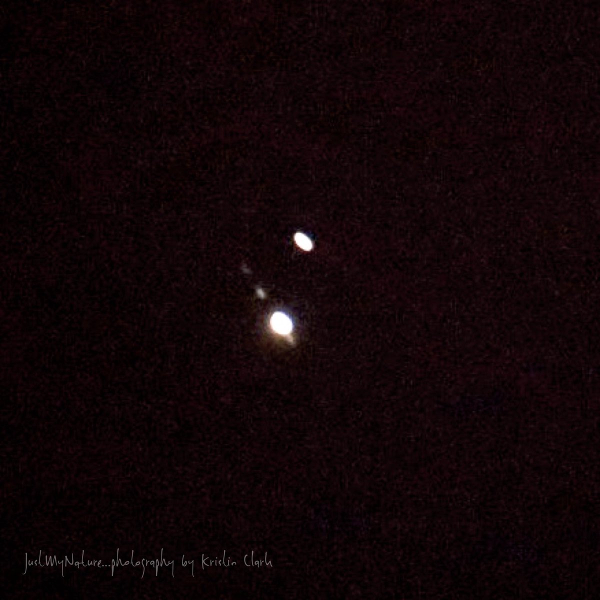 _justmynature's tweet image. 🤨 Too-brief glimpse of Jupiter/Saturn tonite; 🙏🏻 for clear sky Monday! #greatconvergence @simpsonwhnt @spann @ChristinaWHNTwx @puckettwx @RobElvington @BradTravisWAFF @abigail_degler @WEATHERmanBURKE @wxSpinner89 @JordanWZDX @EmilyWZDX @NWSHuntsville @whnt #valleywx #alwx #tnwx