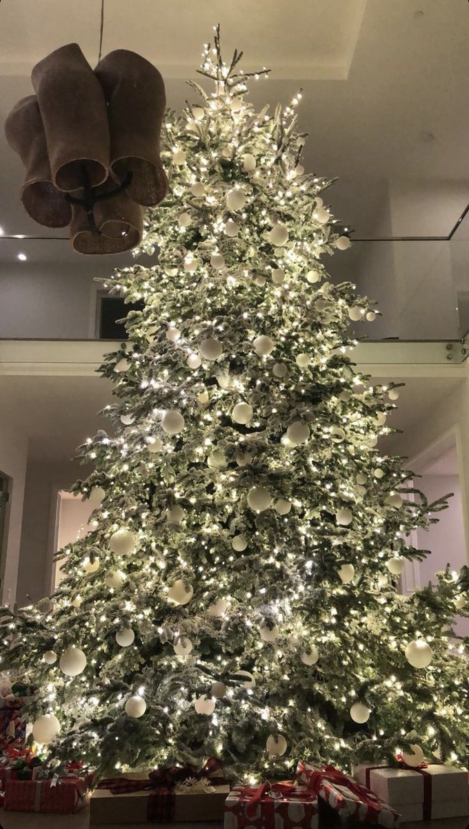 DelilahKRu's tweet image. ⌠ ❨ 𝑫𝒆𝒍𝒊𝒍𝒂𝒉 𝑲.
                 𝑹𝒖𝒕𝒉𝒆𝒓𝒇𝒐𝒓𝒅 𝑳𝒊𝒑𝒂 ❩ ⌡

      ✧. ⊹˚﹕❛ via instagram . ❜

   —————— ⎛♡⃛⎠——————

♡̤⨟ mi novio @ElliotJrDC me ayudó a terminar mi pinito 🎄