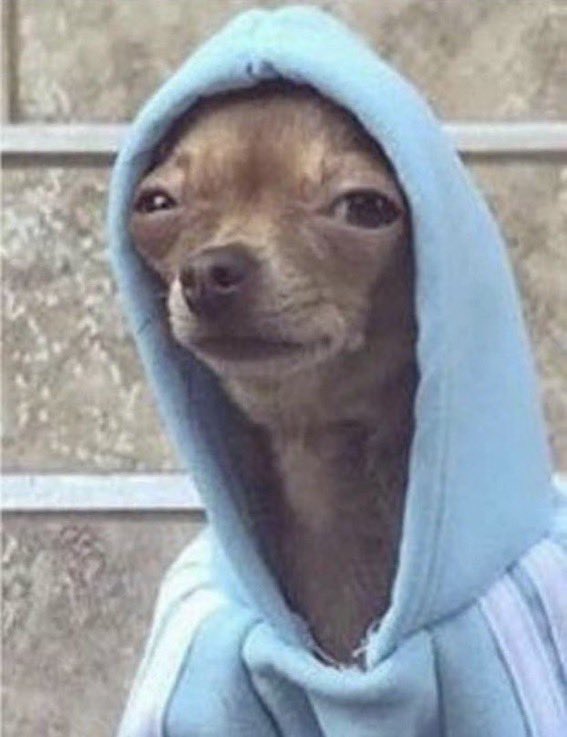 _estana's tweet photo. also I have a headache that literally makes me not want to function https://t.co/p4x1s1O1RA