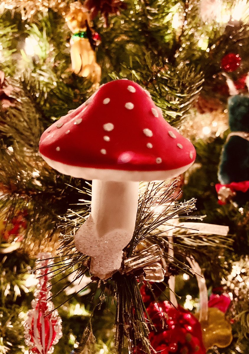 ARSONBAND's tweet photo. Seasons Greetings! https://t.co/O1bH6NjG2H
