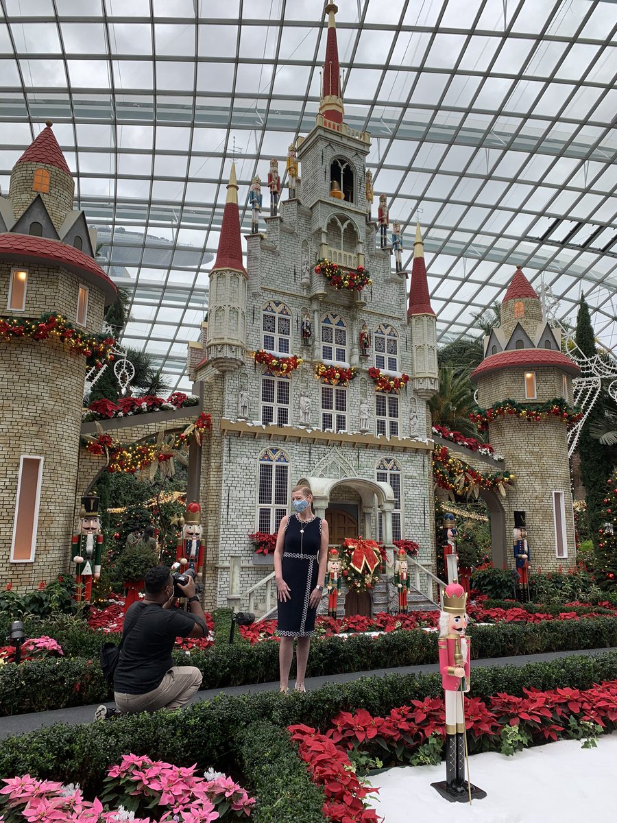 Thanks to Gouda mayor <a href="/PieterVerhoeve/">Pieter Verhoeve</a> and elderman @ThierryVanVugt for this video in Dutch for the Dutch community in Singapore. We can experience a feel of Gouda now at <a href="/GardensbytheBay/">gardensbythebay</a> player.vimeo.com/video/491046374