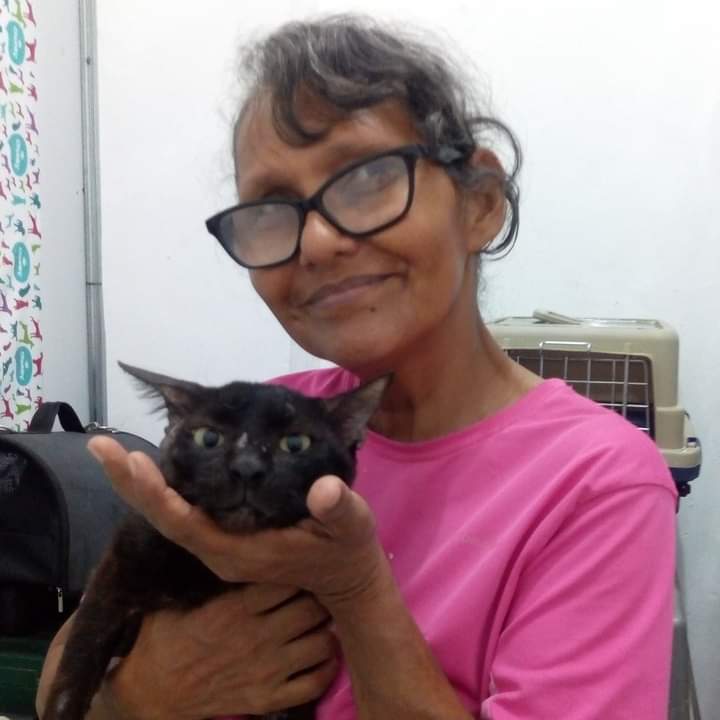 perfetcloudysky's tweet photo. En mi ciudad, Cartagena de Indias, existe una persona que hace una labor muy bonita por los animales sin recibir nada a cambio, ella es Esperanza, más conocida como la Esperanza de los gatos. Ella se encarga de alimentar a los gatitos que la gente irresponsablemente bota en + https://t.co/UhtAhZlnPf