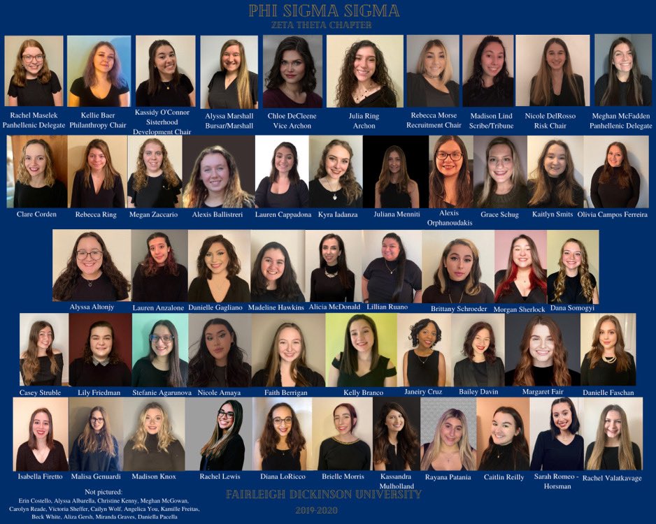 PhiSigSig_FDU's tweet image. Even from our own homes, we are still together! Once, Always. Here is our composite photo for the 2019-2020 year, created by our historian Alicia!💙 #phisig