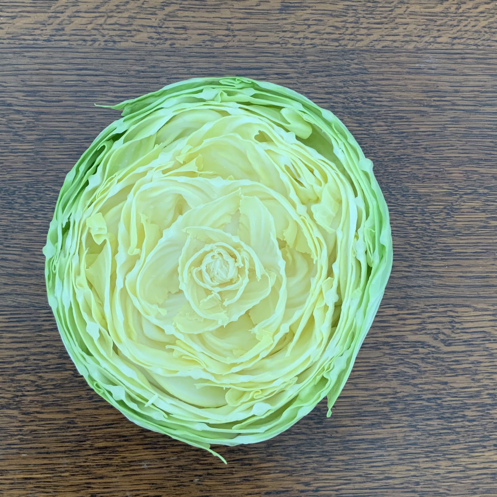 Nihonbare キャベツの花 上は柔らかいので千切り 下はスープに キャベツ 千切り イラスト イラストレーター おうちごはん T Co 5ycolu8wwy Twitter