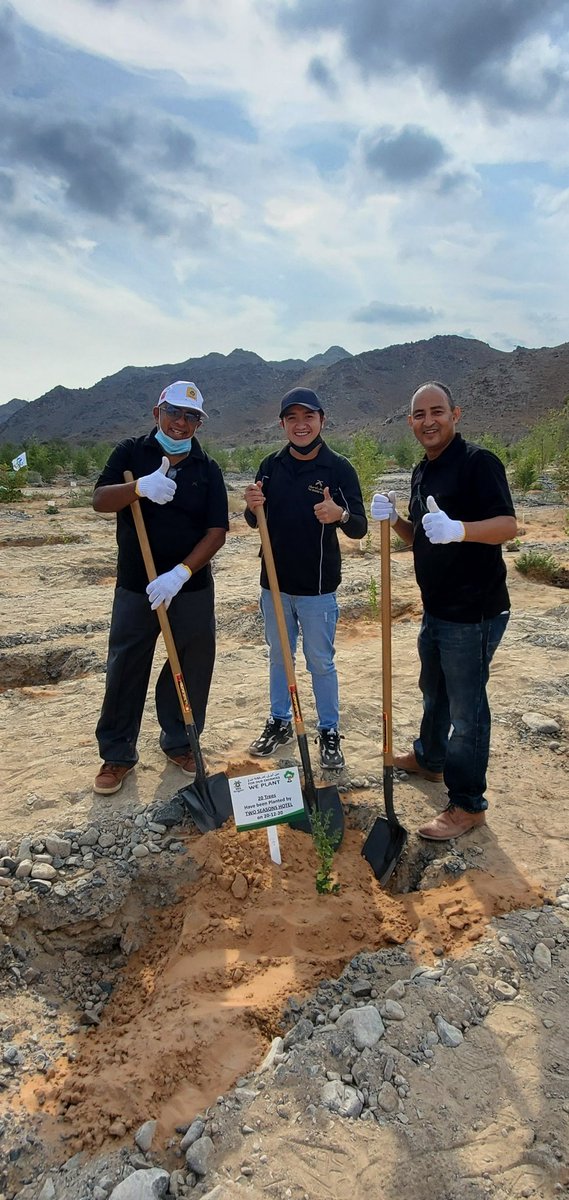 trahner's tweet photo. Ghaf tree! #treeplanting #uae @eegemirates https://t.co/JQF2KUyxhQ