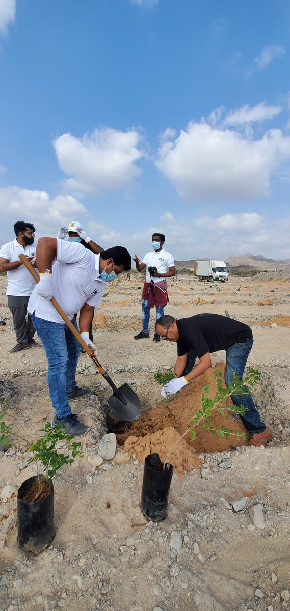 trahner's tweet photo. Ghaf tree! #treeplanting #uae @eegemirates https://t.co/JQF2KUyxhQ
