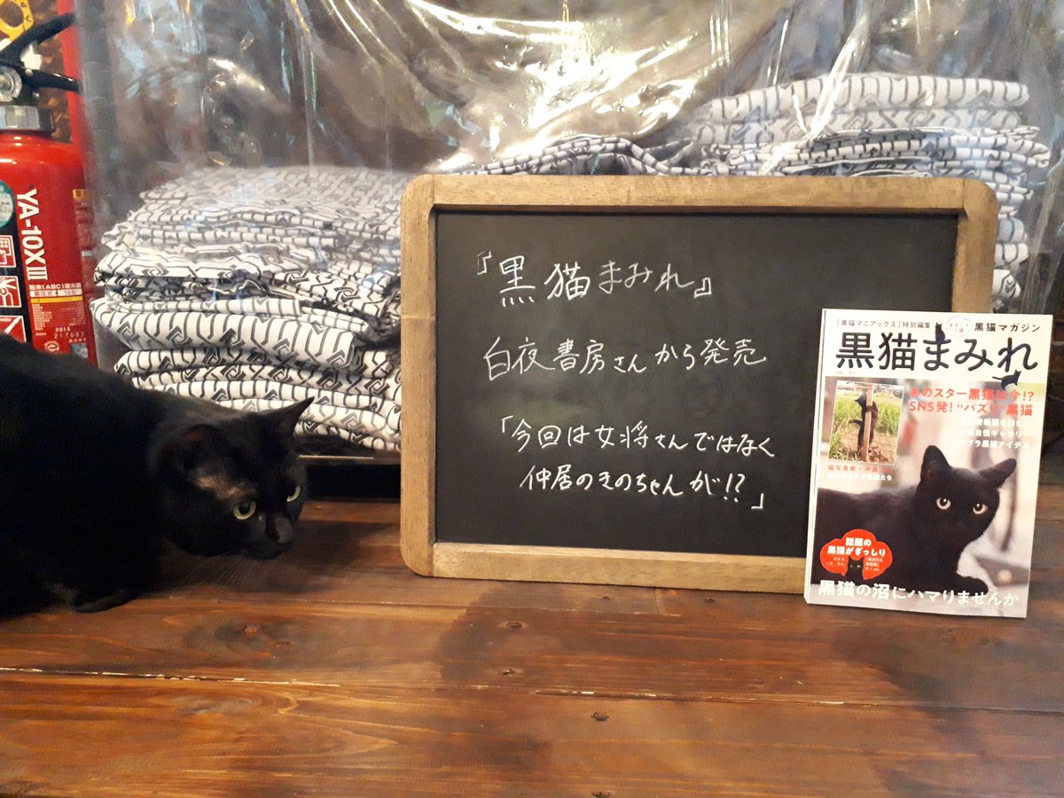 猫と過ごすバリ風民宿meong楽宿白浜店 白夜書房さんの 黒猫まみれ にmeongを載せていただきました きのちゃんがメインの雑誌は初 12月21日 月 本日発売です まりんやはつこもちょっと載っているよ 詳しくは白夜書房さんまで