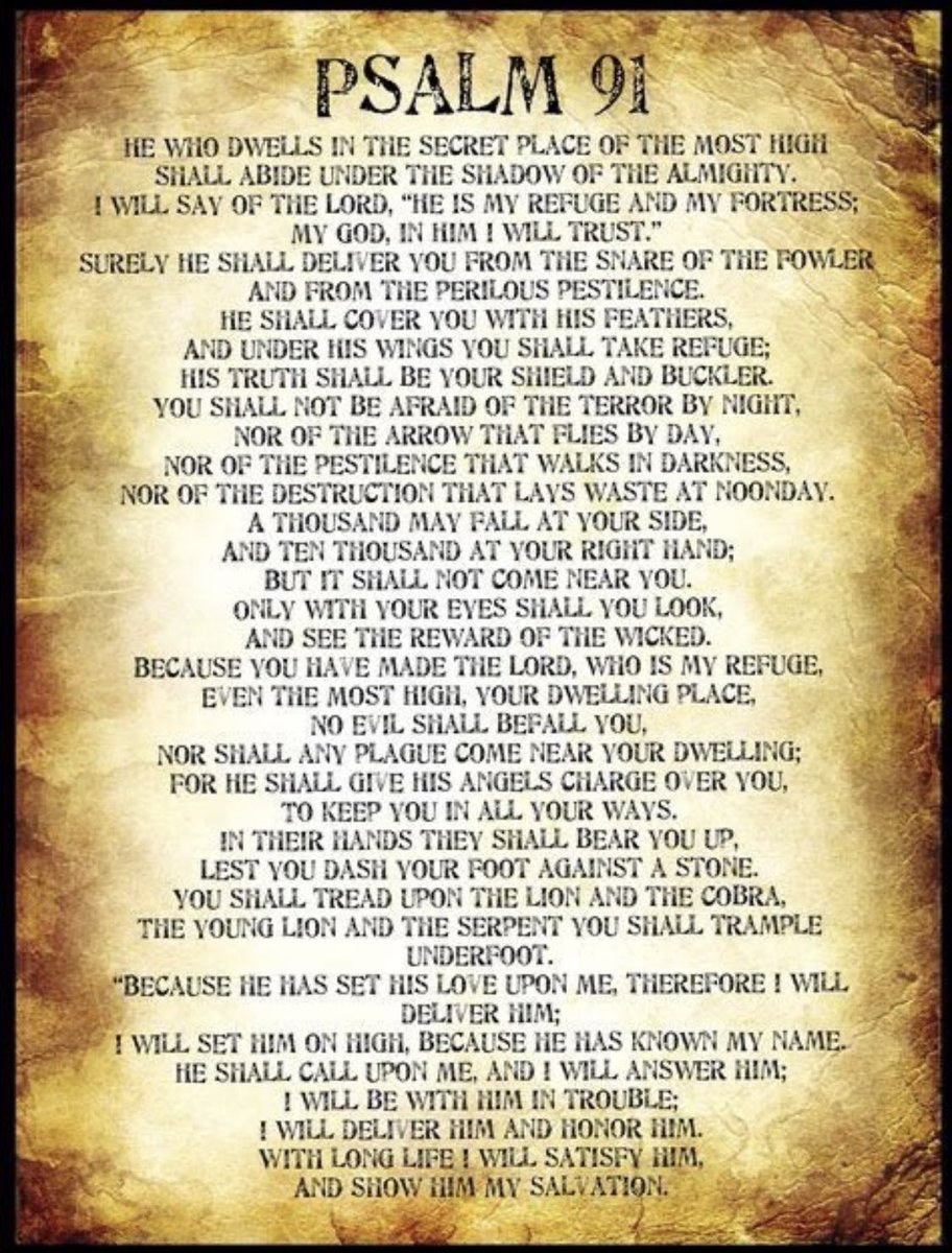 4America 🇺🇸 tweet media