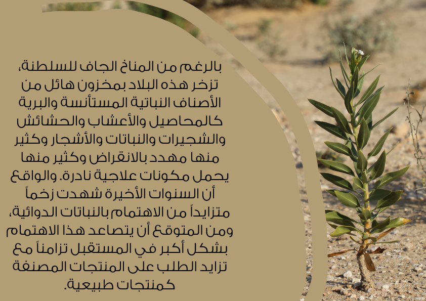 mawaridom's tweet photo. #هل_تعلم أن من المتوقع أن يتصاعد الاهتمام بالنباتات الدوائية بشكل أكبر في المستقبل تزامناً من تزايد الطلب على المنتجات المصنفة كمنتجات طبيعية.

#المقهى_العلمي https://t.co/ekpnRelQDy