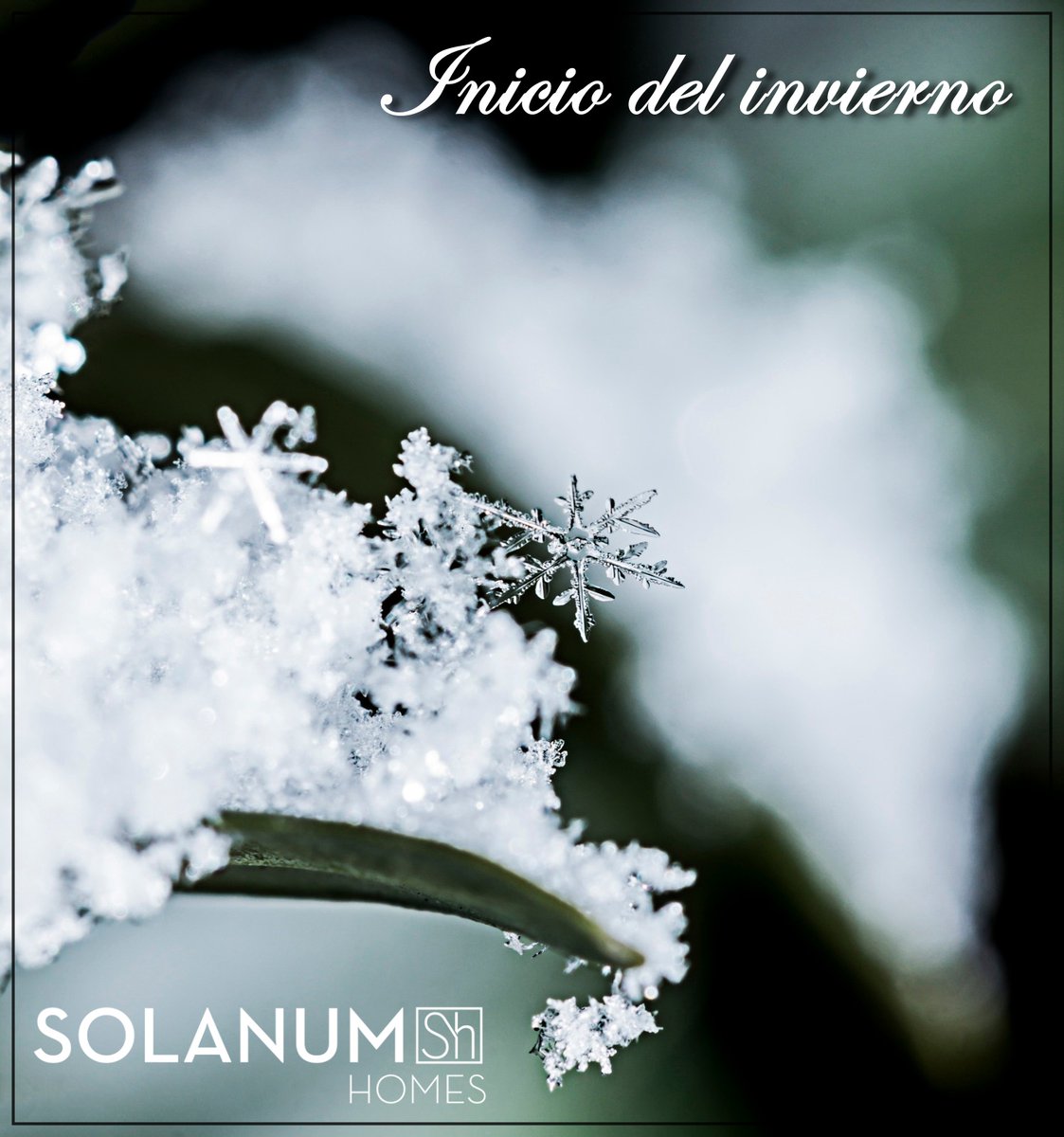 Llegó el invierno y con el se acercan las ansiadas navidades.

¡Feliz inicio del invierno a todos!

#SolanumHomes #inicioinvierno #navidades2020 #nochebuena #nochevieja