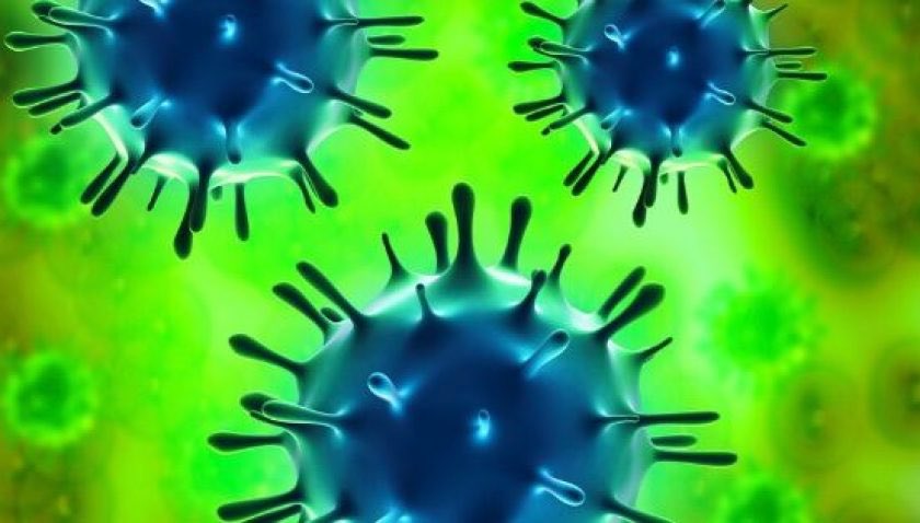 Garage W.W. Smit tweet media