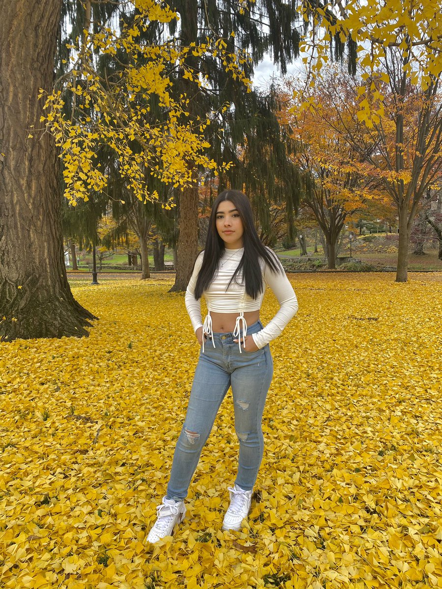 rosalizcat's tweet photo. Throwback to fall 💛✨🍂 #Yellow #YellowLeafs #aesthetic #Views #GoodVibes #MotherNature #boricua #pennsylvania #photography #model #latina #hola https://t.co/r7GD37NeZo