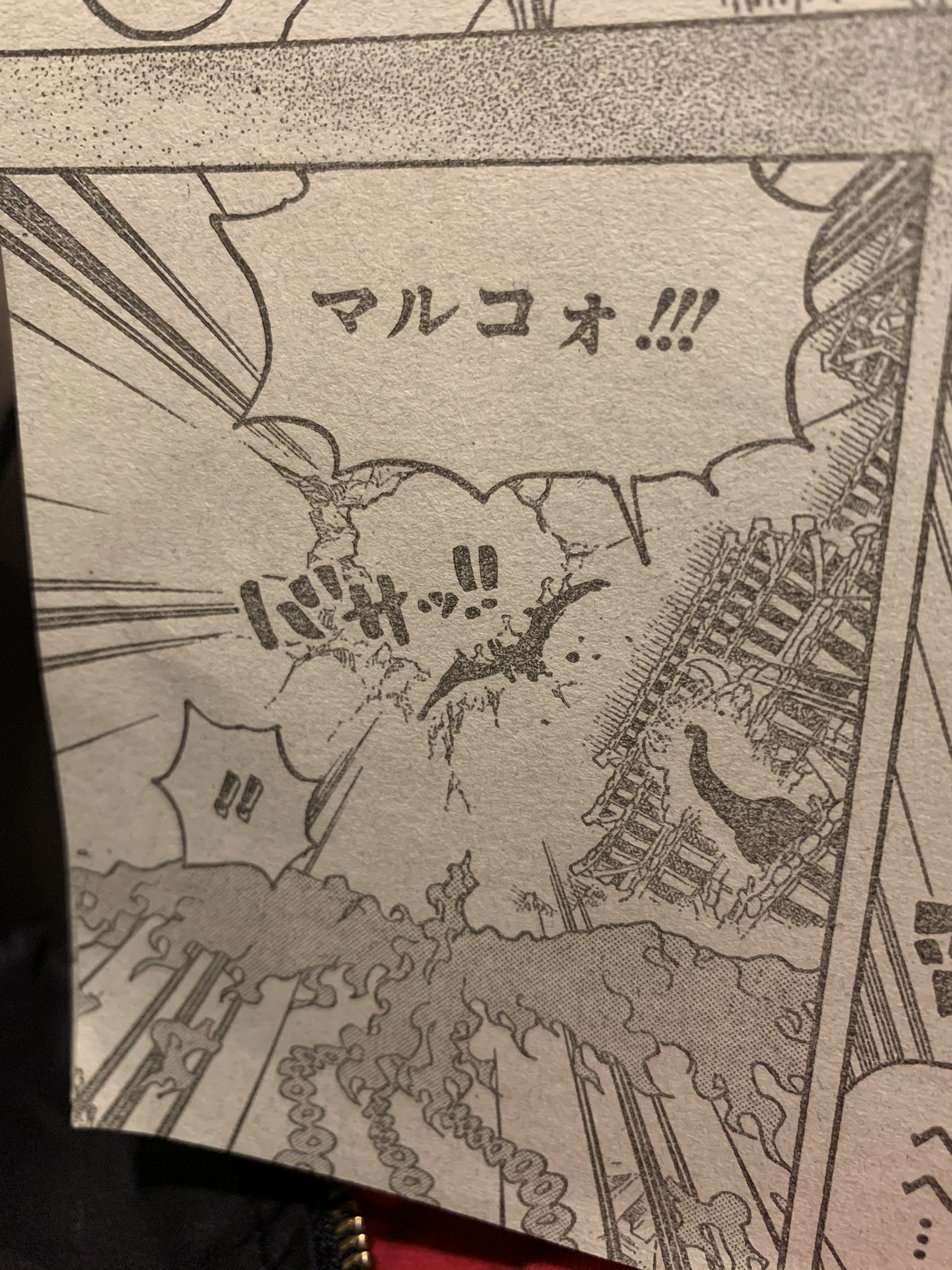 芳我英典eisuke Haga Iq555兆 マルコォ 同じ鳥の姿が 当然 あいつだ 百獣海賊団 大看板の二人がこぞって登場 変態ブラキオ野郎 クイーン と まだ未知数だが いわゆる百獣海賊団 二番手の キング である プテラノドン野郎 百獣