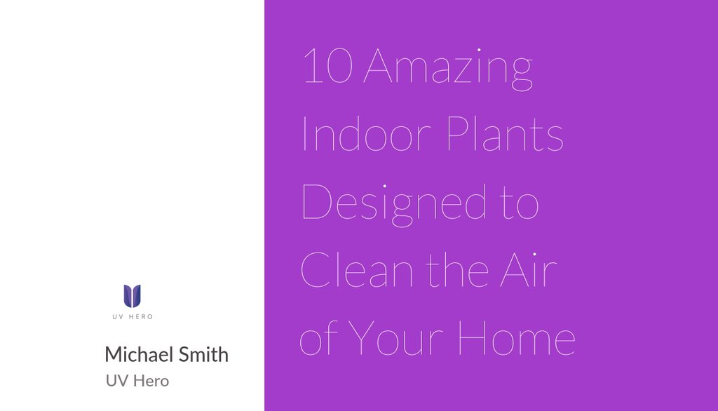 10 Amazing Indoor Plants Designed to Clean the Air of Your...

Read the full article: 10 Amazing Indoor Plants Designed to Clean the Air of Your Home
▸ lttr.ai/atMn

#air #Health