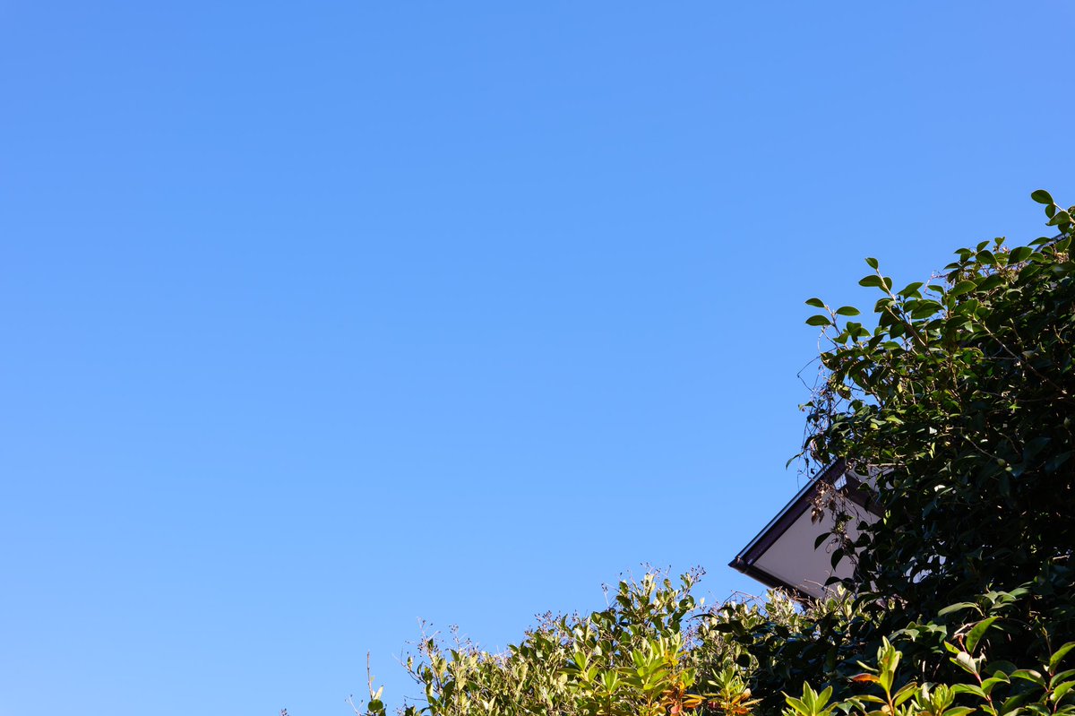 Taachan's tweet photo. It’s another beautiful day here! 
Not a cloud in the sky.
Have a great day / evening! 

 #sky #bluesky #sunshine #you39RT #weather https://t.co/H2LCDq2L9V