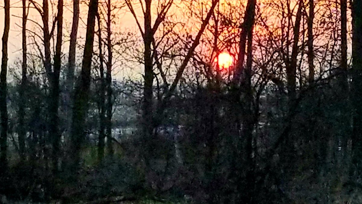 MidAgeManiac's tweet photo. Something about those Northern Illinois sunsets. https://t.co/PBiAkinzuT