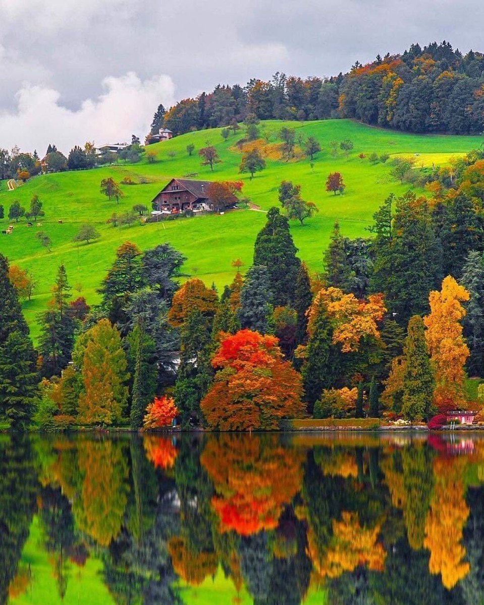 Futurist🇿🇼 tweet media