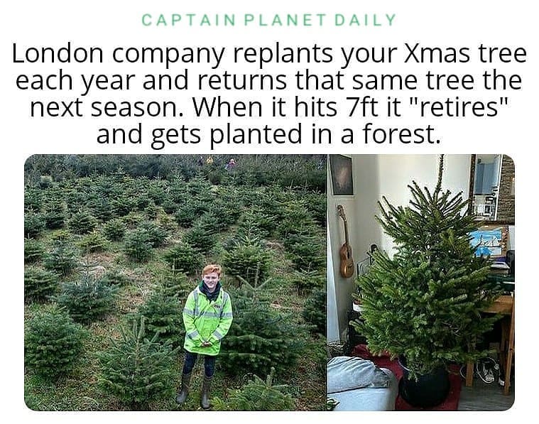What a great idea!
.
.
#sustainabilitymatters #climatechangeeffects #captainplanetdaily #environmentallyfriendly #protectourplanet #donotlitter #treestreestrees #reforestation #globalwarmingisreal #ActOnClimate #xmastree #eviromentallyfriendly #Climatecrisis #jinglebells