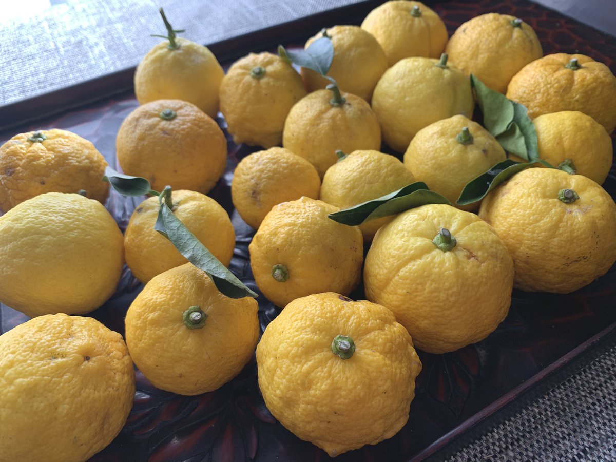 冬至だね

これからまた少しずつ陽が長くなっていくの、嬉しいね☀️ https://t.co/jjcVoAnhCY