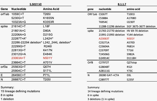 Andrew Rambaut Hi Tulio Unlike The Uk Variant In The 501y V2 Variant It Does Look Like All Of These Mutations Are Directly Associated With The N501y Mutation K417n For Example