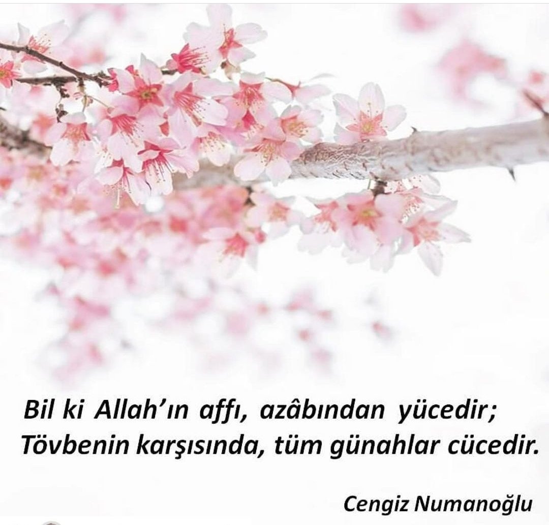 Fatzeya (@fatzeya) on Twitter photo 