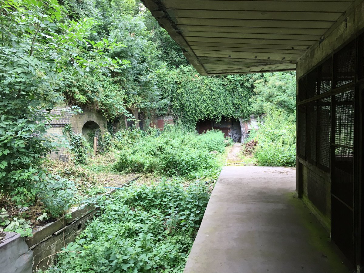 SimonZev's tweet photo. DAY280: 21/07/2019 in the summer @ltmuseum #HiddenLondon do tours of Highgate high level abandoned station. Itโs an excellent tour & weird to do mainly outside given the usual locations. Well worth it for the #NorthernHeights history alone #Highgate
#CoronaAlone #CoronaLockdown https://t.co/YgnAQqh9Kp